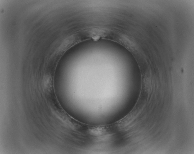 X0000062930079200601131522