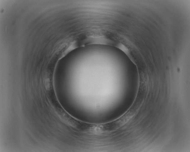 X0000062930080200601131522