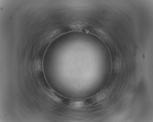 X0000062930081200601131522