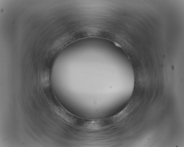 X0000062930082200601131522