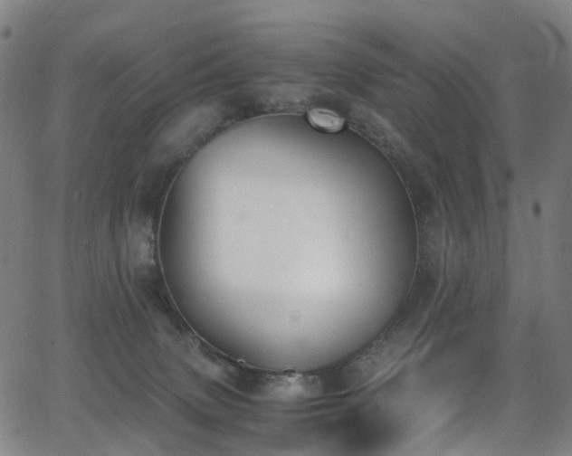 X0000062930083200601131522