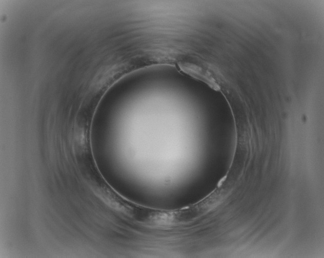 X0000062930084200601131522