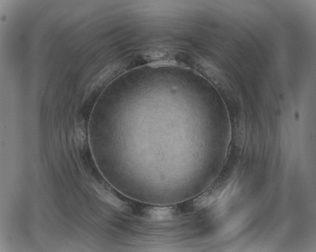 X0000062930085200601131522