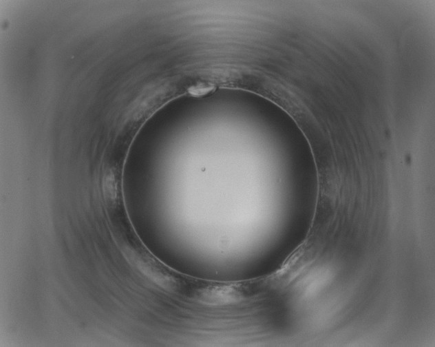 X0000062930086200601131522