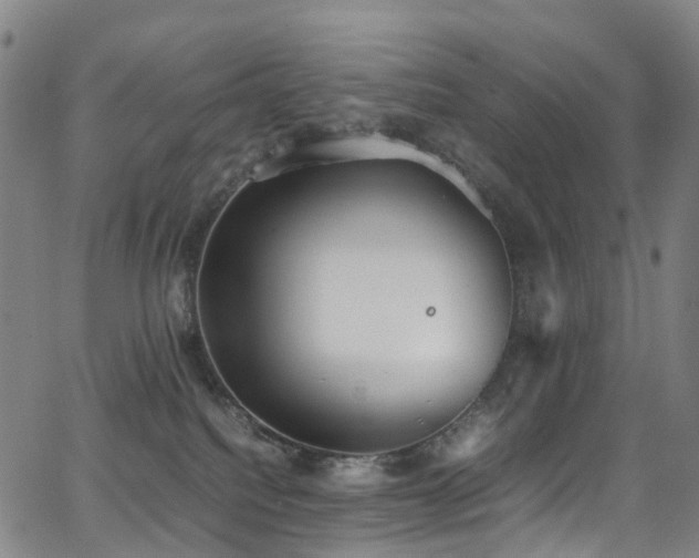 X0000062930088200601131522