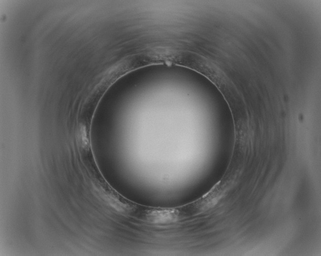 X0000062930089200601131522