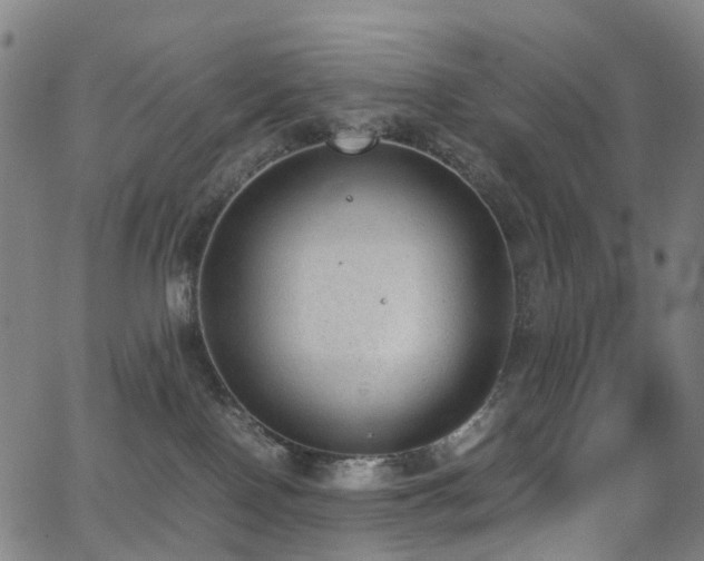 X0000062930090200601131522