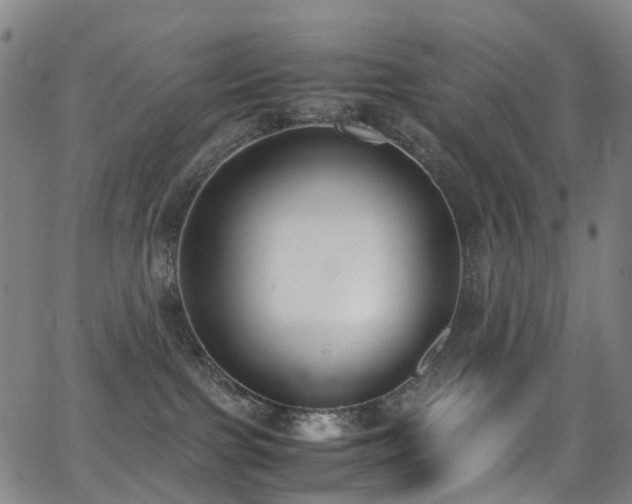 X0000062930091200601131522