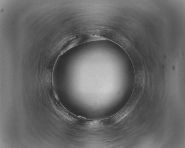 X0000062930092200601131522