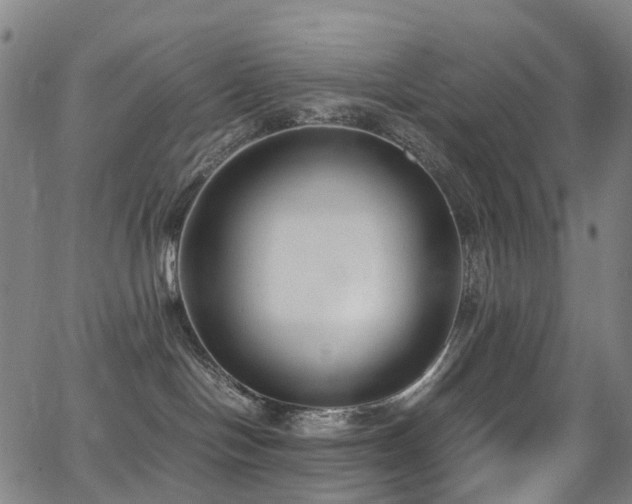 X0000062930094200601131522