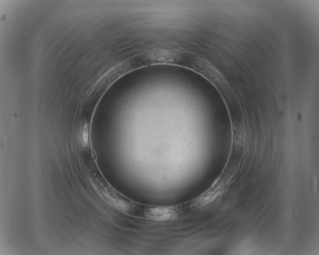 X0000062930095200601131522