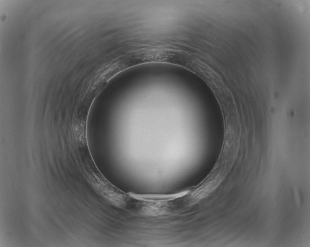 X0000062930096200601131522