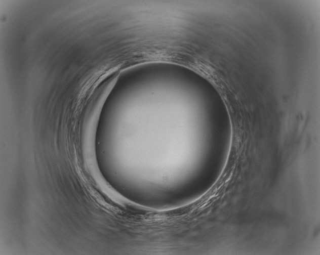 X0000062930097200601131522