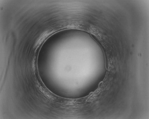 X0000062930098200601131522