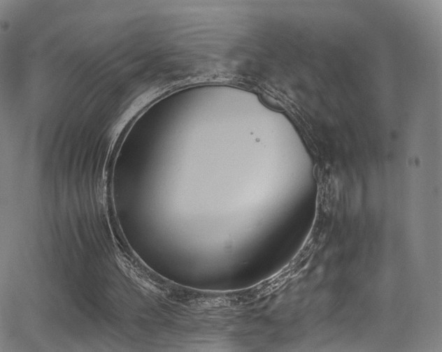 X0000062930100200601131522