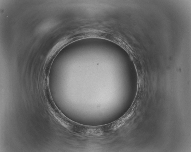 X0000062930101200601131522