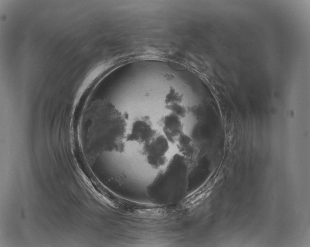 X0000062930102200601131522