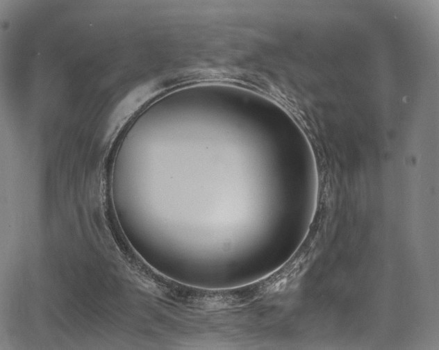 X0000062930103200601131522