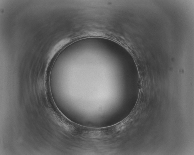 X0000062930104200601131521