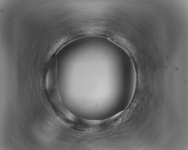 X0000062930105200601131521