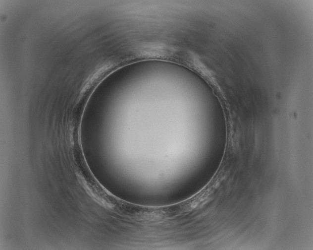 X0000062930106200601131521