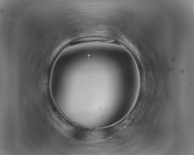 X0000062930107200601131521