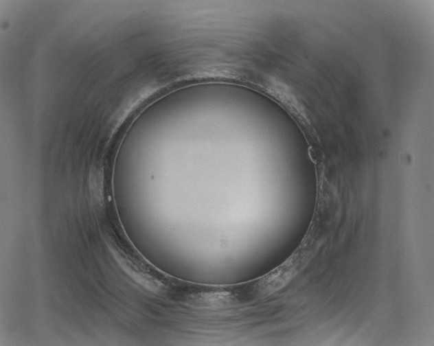 X0000062930108200601131521