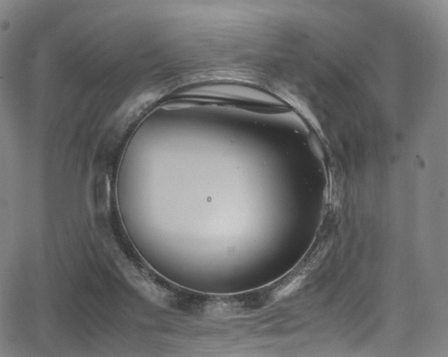 X0000062930109200601131521