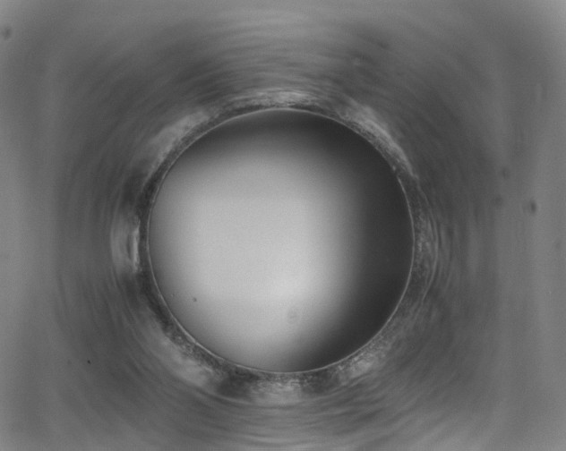 X0000062930110200601131521