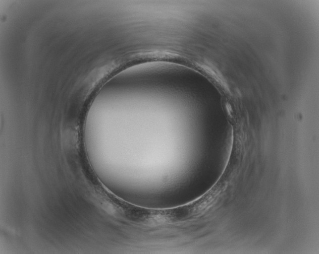 X0000062930111200601131521