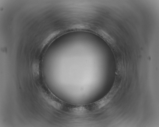 X0000062930112200601131521