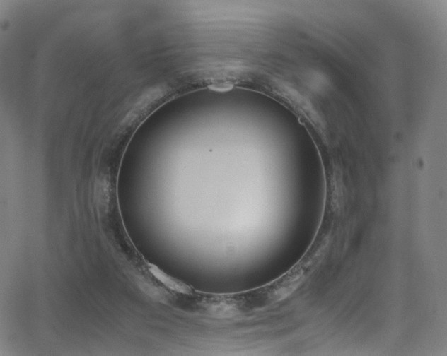 X0000062930113200601131521