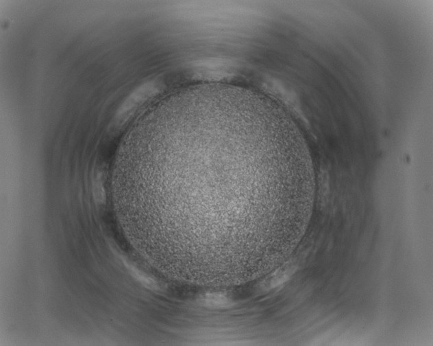 X0000062930114200601131521