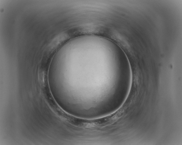 X0000062930115200601131521