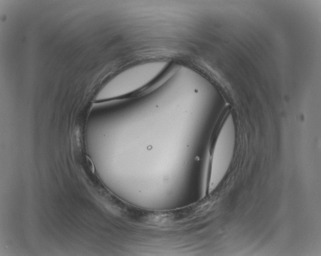 X0000062930117200601131521