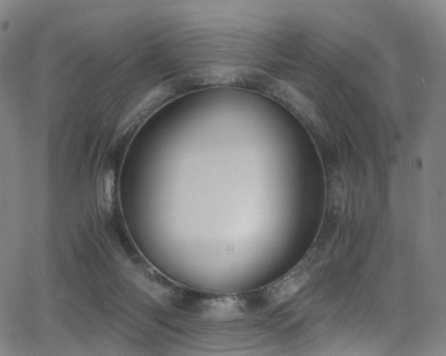 X0000062930118200601131521