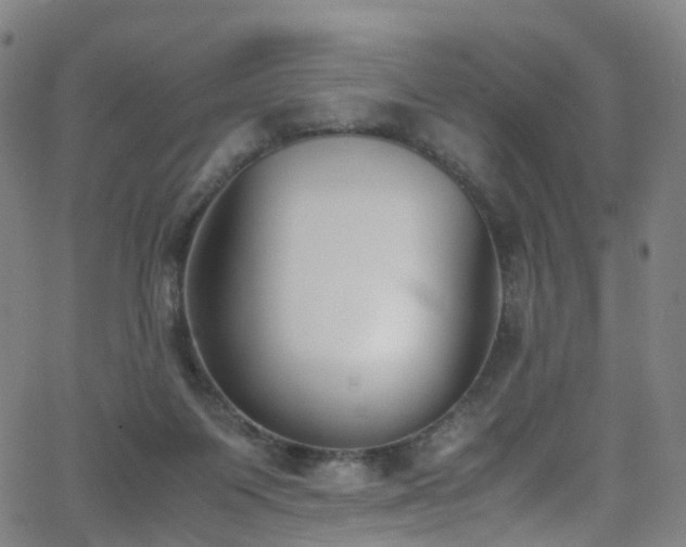 X0000062930119200601131521