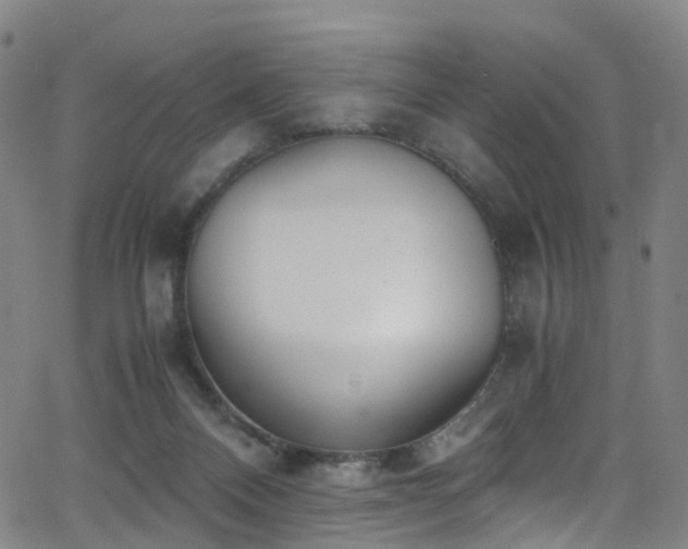 X0000062930120200601131521