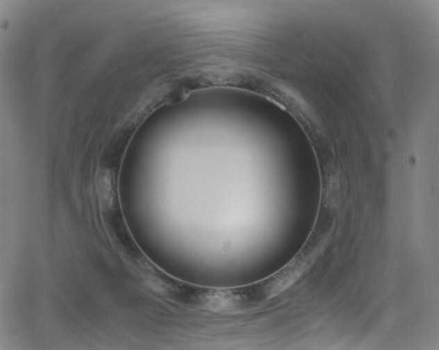 X0000062930121200601131521