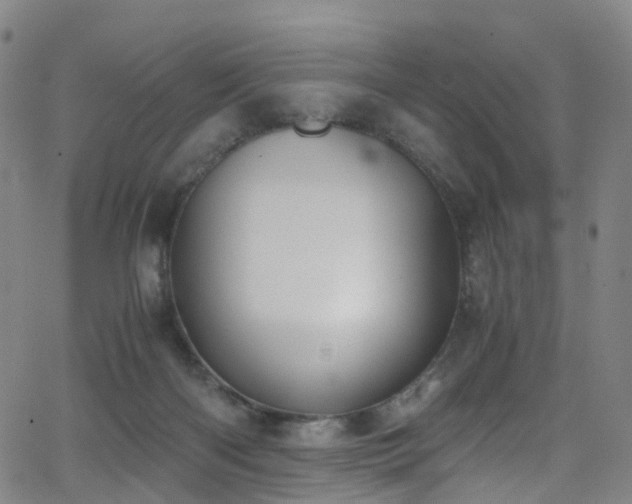 X0000062930122200601131521