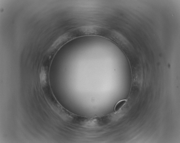 X0000062930124200601131521