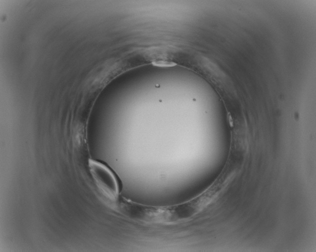 X0000062930125200601131521