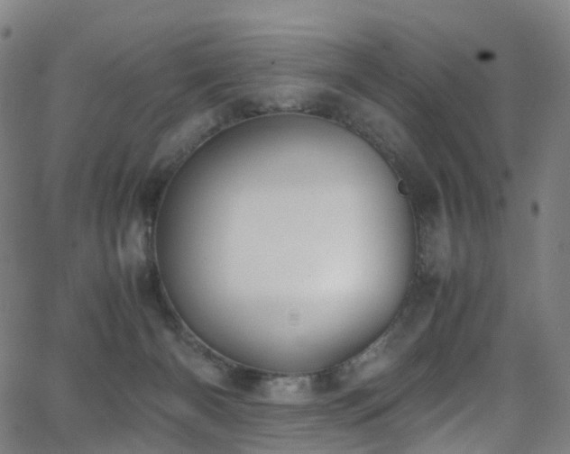 X0000062930126200601131521