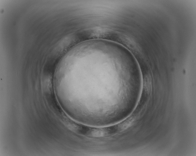 X0000062930127200601131521