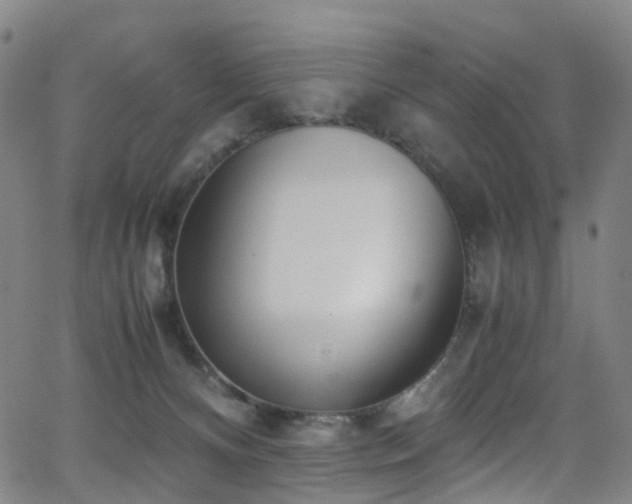 X0000062930128200601131521