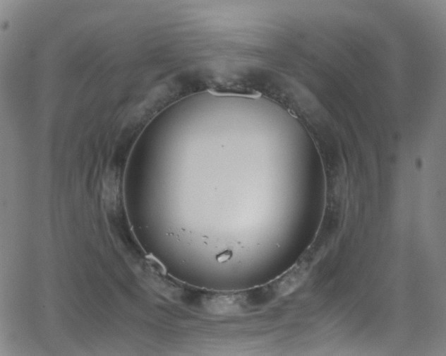 X0000062930129200601131521