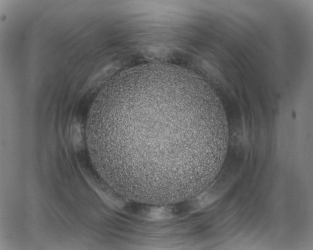 X0000062930130200601131521