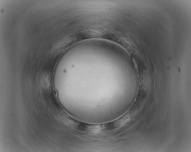 X0000062930131200601131521