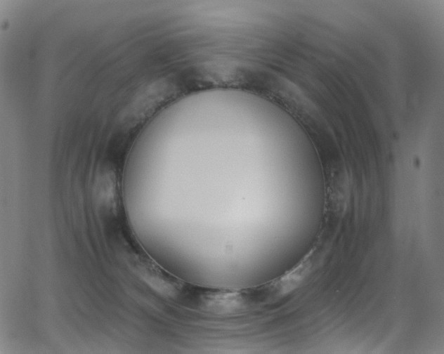 X0000062930132200601131521