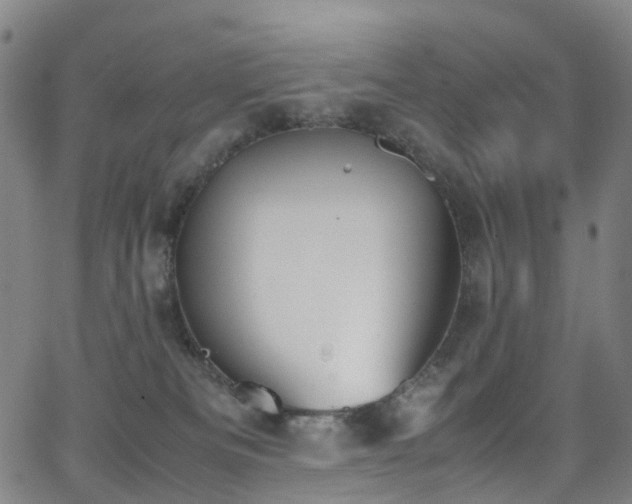 X0000062930133200601131521